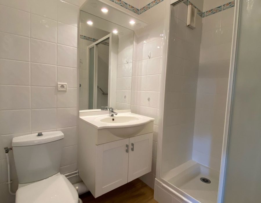 salle de douche, toilette